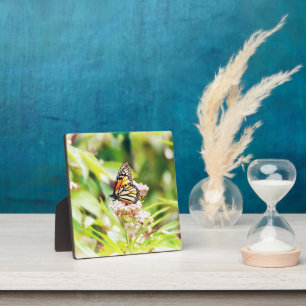 Plaque Photo Jolie art de papillon