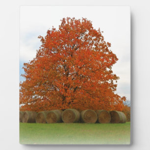 Plaque Photo Jour d'automne