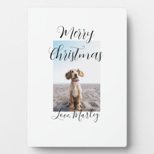 Plaque Photo Joyeux Noël animal chat chat photo cadeaux de vaca