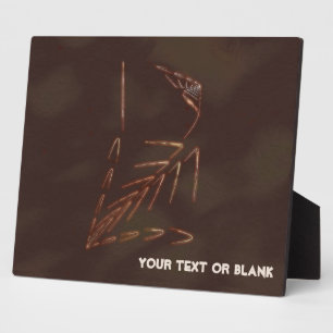 Plaque Photo Jurassic fossile