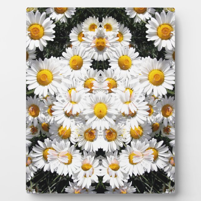 Plaque Photo Kaleidoscope Daisies Pattern (Devant)