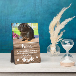 Plaque Photo Kids Cute Photo Pet Memorial