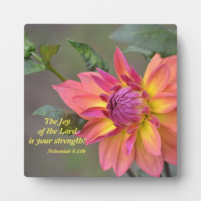 Plaque Photo La Joie du Seigneur Est Ta Force ! (Devant)