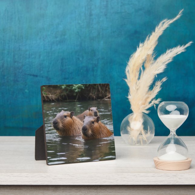 Plaque Photo La Nage Des Capybaras Dans La Rivière, (Insitu)