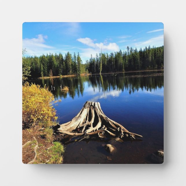 Plaque Photo Lac Trillium, OR (Devant)
