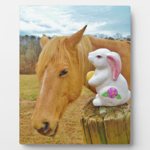 Plaque Photo Lapin blanc et cheval jaune blond