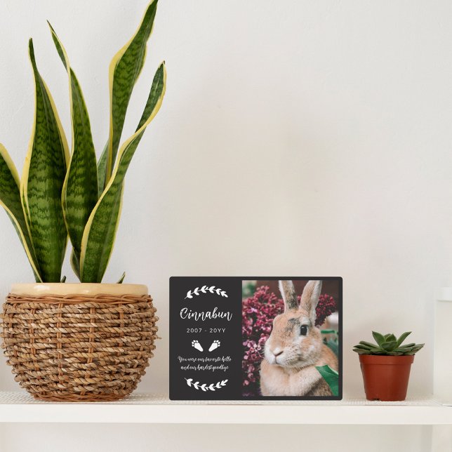 Plaque Photo Lapin noir aux pattes de verdure Photo mémorial de (Créateur téléchargé)