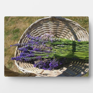 Plaque Photo Lavender