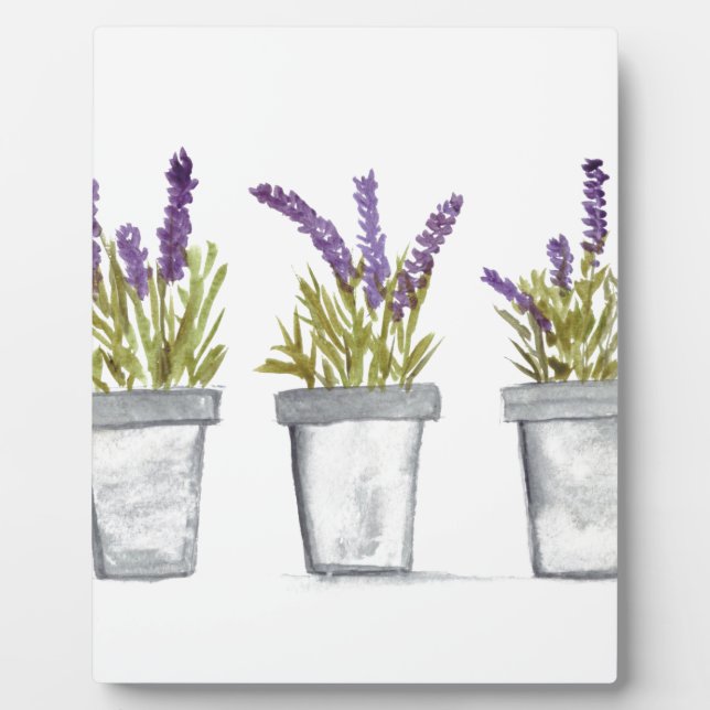 Plaque Photo Lavender herb pots (Devant)