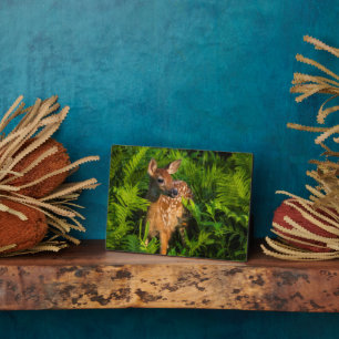 Plaque Photo Le cerf de Virginie   Minnesota