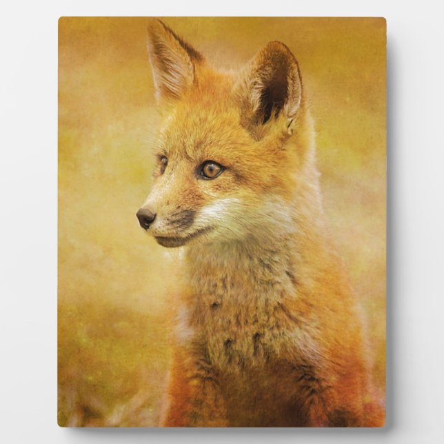 Plaque Photo Le Fox dans le bois (Devant)