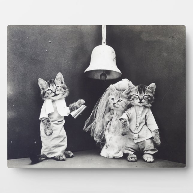 Plaque Photo Le Mariage Harry Whittier libère 1914 (Devant)