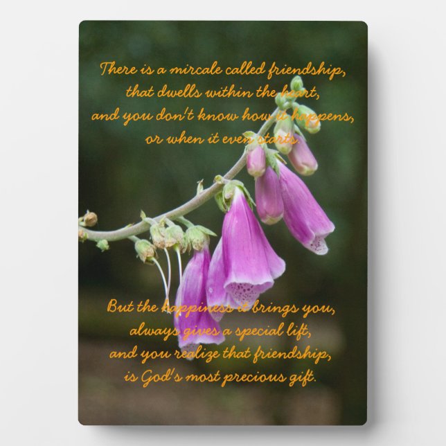 Plaque Photo Le miracle de l'amitié (Devant)