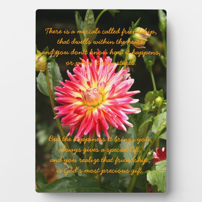 Plaque Photo Le miracle de l'amitié (Devant)