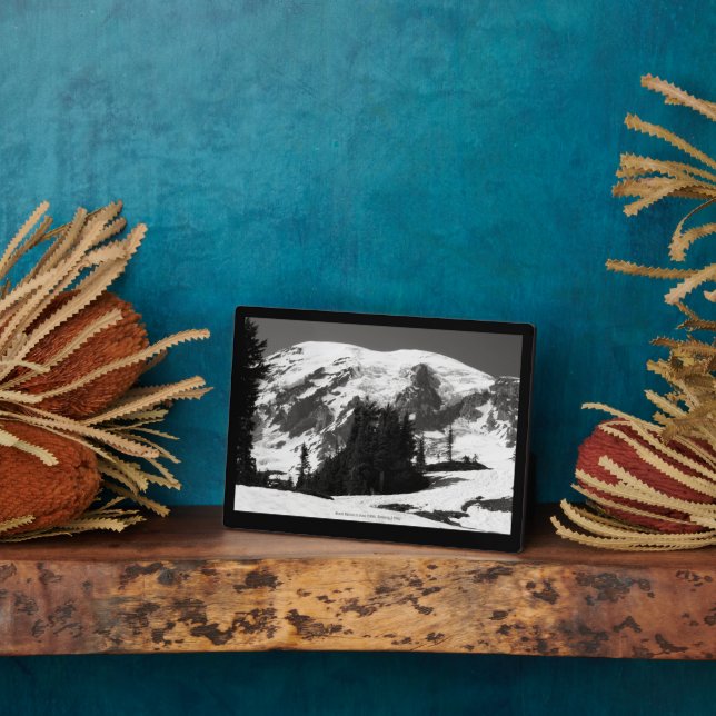 Plaque Photo Le Mont Rainier en juin (Côté)