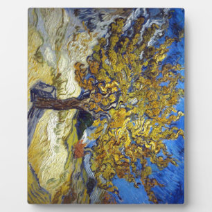 Plaque Photo Le Mulberry Tree, Vincent van Gogh. Vintage
