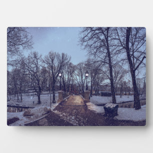 Plaque Photo Le parc de la ville enneigé en hiver le soir