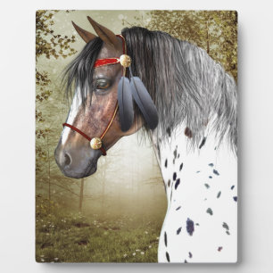 Plaque Photo Le ponton indien