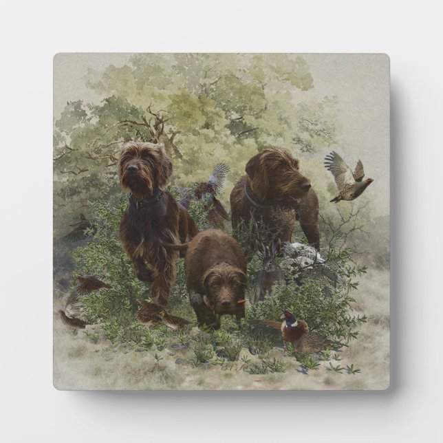 Plaque Photo Le Pudelpointer (Devant)