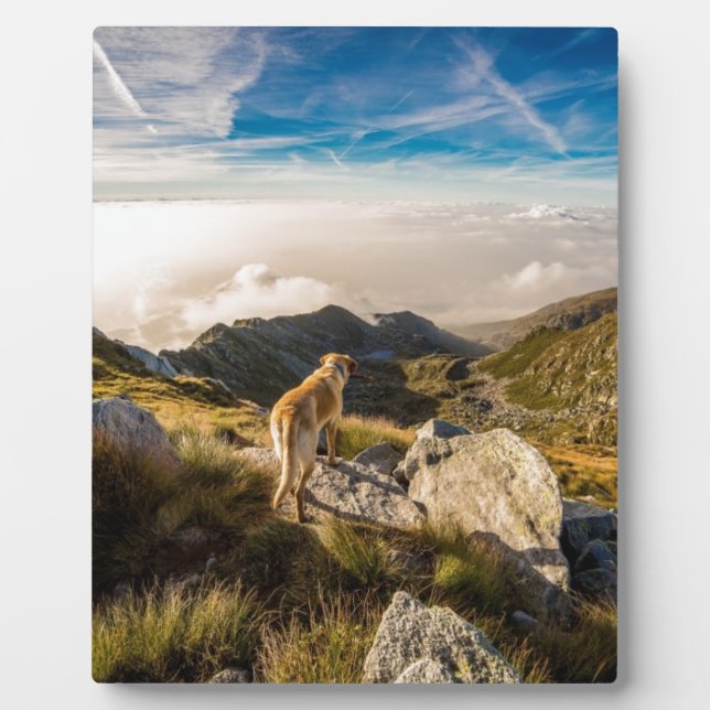 Plaque Photo Le voyage (Devant)