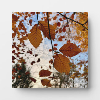 Plaque Photo Leaves