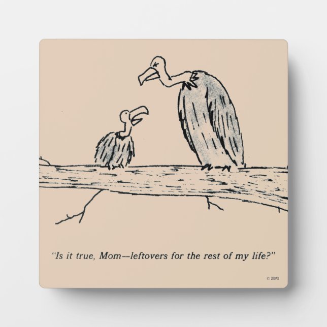 Plaque Photo Leftovers (Devant)