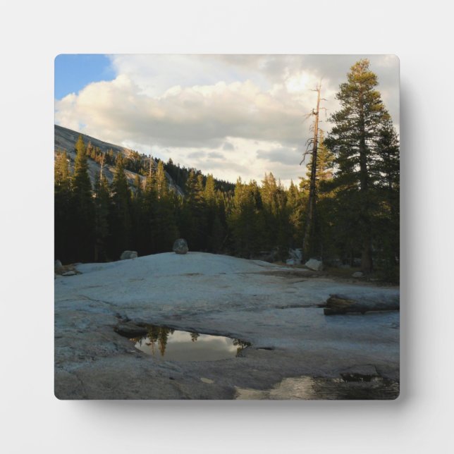 Plaque Photo Lembert Dome à Tuolumne Meadows, Yosemite, CA (Devant)
