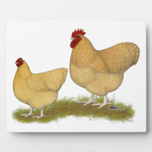 Plaque Photo Lemon Cuckoo