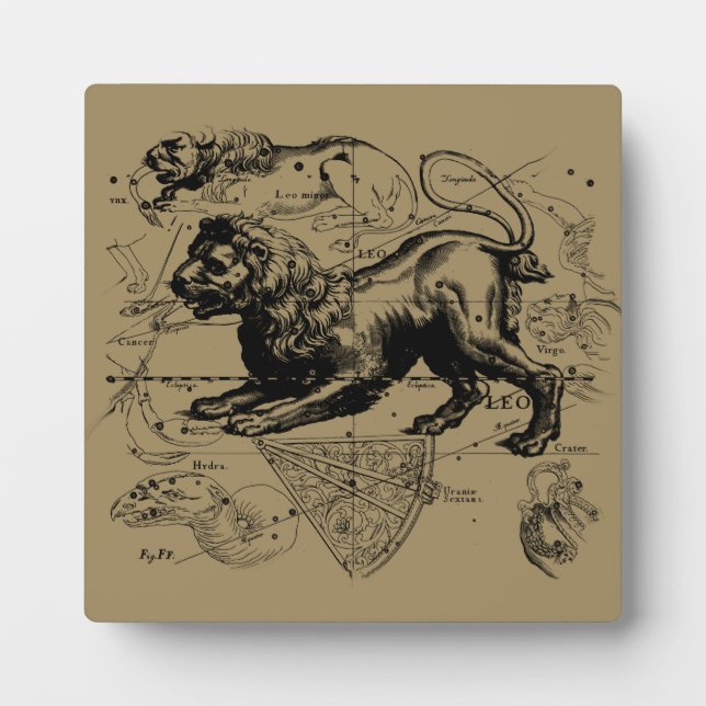 Plaque Photo Leo Constellation Map Hevelius 1690 sur Taupe (Devant)