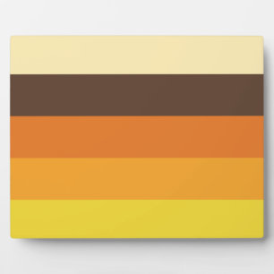 Plaque Photo les années 70 Motif de couleurs triées rétro