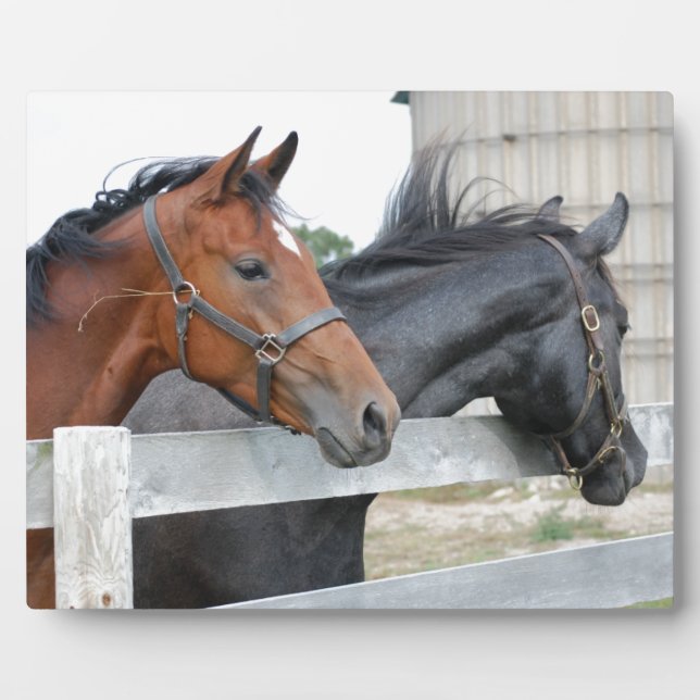 Plaque Photo Les Chevaux d'Amour (Devant)