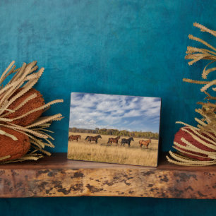 Plaque Photo Les Chevaux Juste En Dehors Du Parc National De Gr
