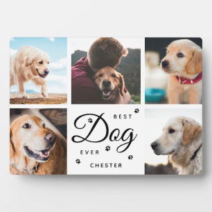 Plaque Photo Les pattes commémoratives de Best Dog Ever - Colla