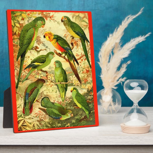 Plaque Photo Les perroquets (Côté)