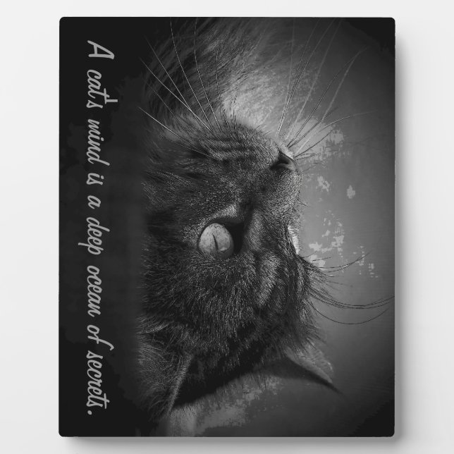 Plaque Photo L'esprit d'un chat est un océan profond de secrets (Devant)