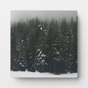 Plaque Photo L'hiver dans la forêt de montagne