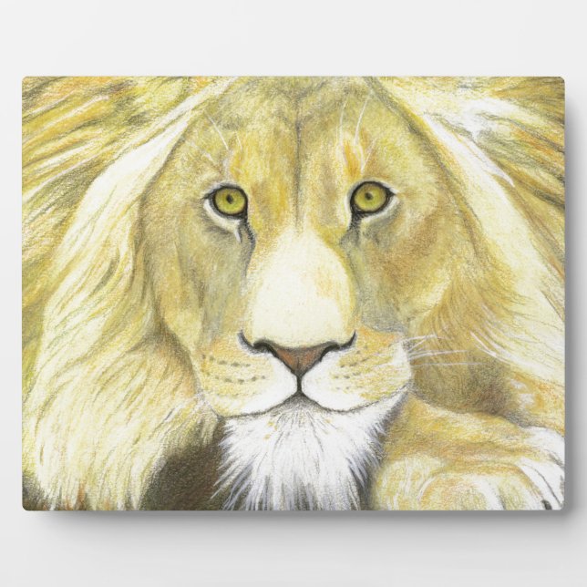 Plaque Photo Lion africain (Devant)