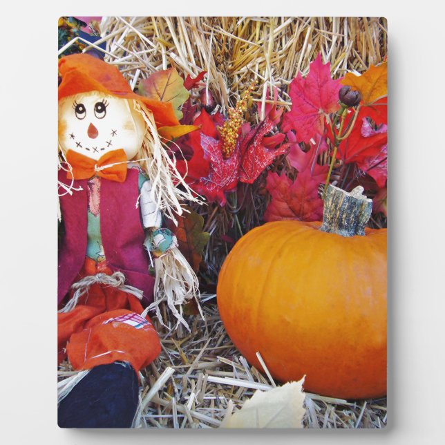 Plaque Photo Little Mister Scarecrow (Devant)