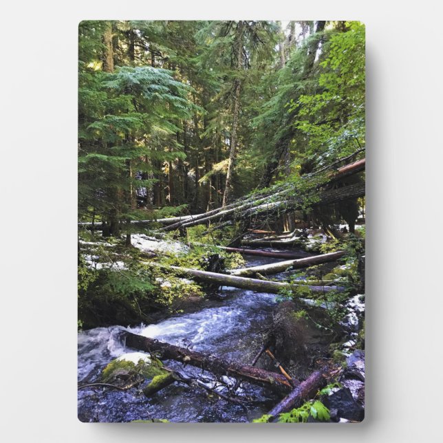 Plaque Photo Little Zigzag (Devant)