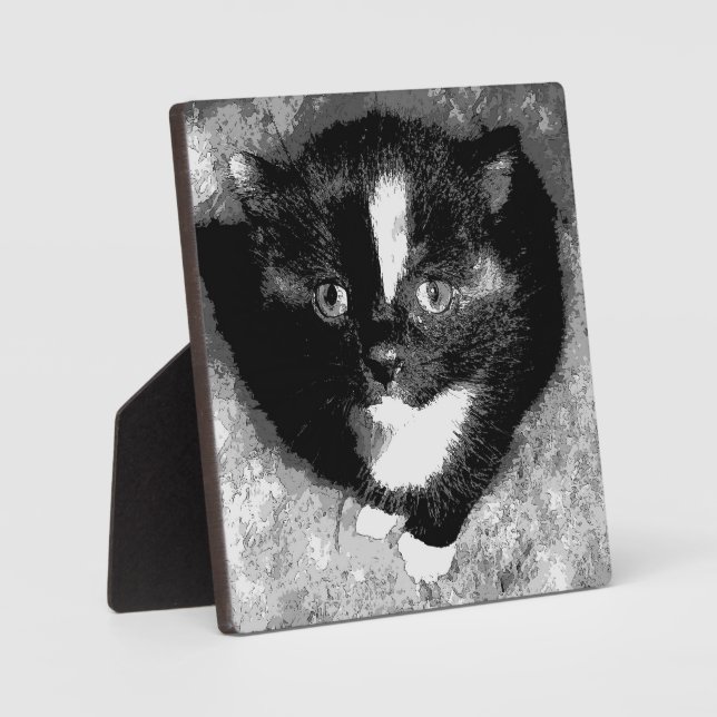 Plaque Photo L'observateur silencieux (Recto)