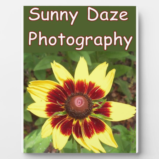 Plaque Photo Logo photo Sunny Daze (Devant)