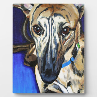 Plaque Photo Loki - Chien Lurcher