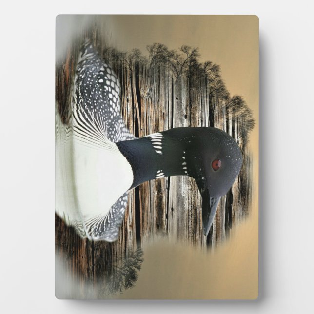 Plaque Photo Loon (Devant)