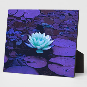 Plaque Photo Lotus Fleur Magique Violet Bleu Turquoise Floral