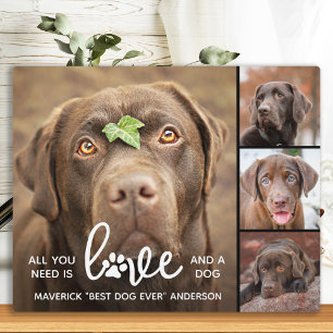 Plaque Photo LOVE & a DOG Amoureux des chiens personnalisé Phot