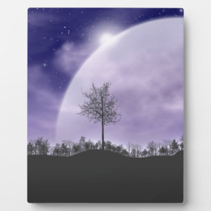 Plaque Photo Lune Lumière Étoiles Ciel Arbres Whimsical Personn
