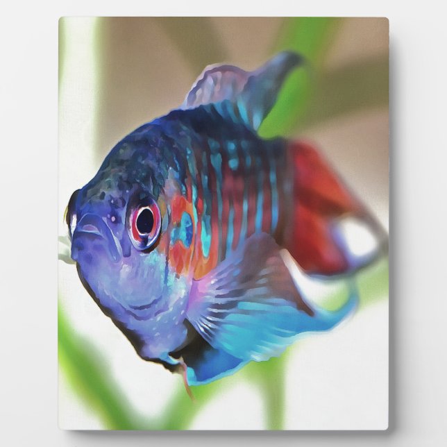 Plaque Photo Macropodus Opercularis Aquarium Poisson (Devant)