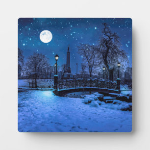 Plaque Photo Magique nuit d'hiver avec ciel étoilé et pleine lu