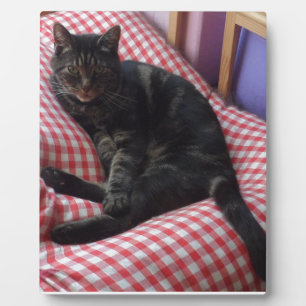 Plaque Photo Maître Dave