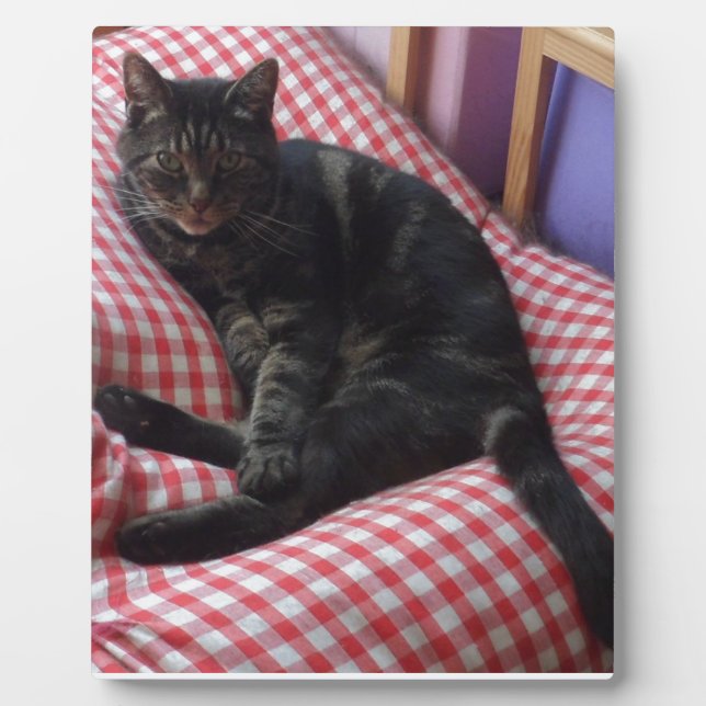 Plaque Photo Maître Dave (Devant)